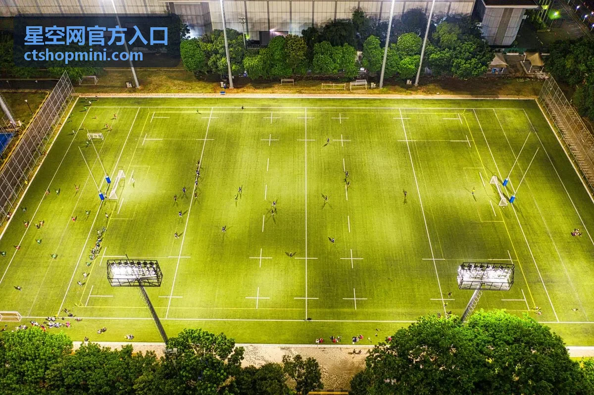 星空网官方入口 悬疑剧集海报